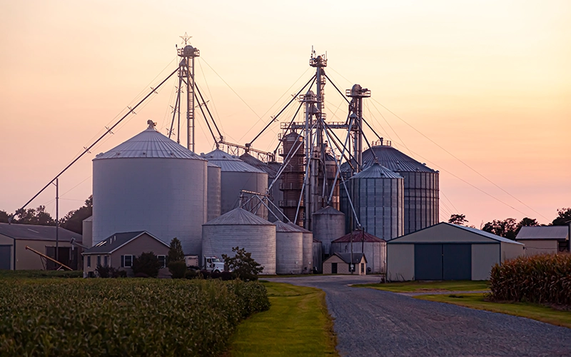 farm